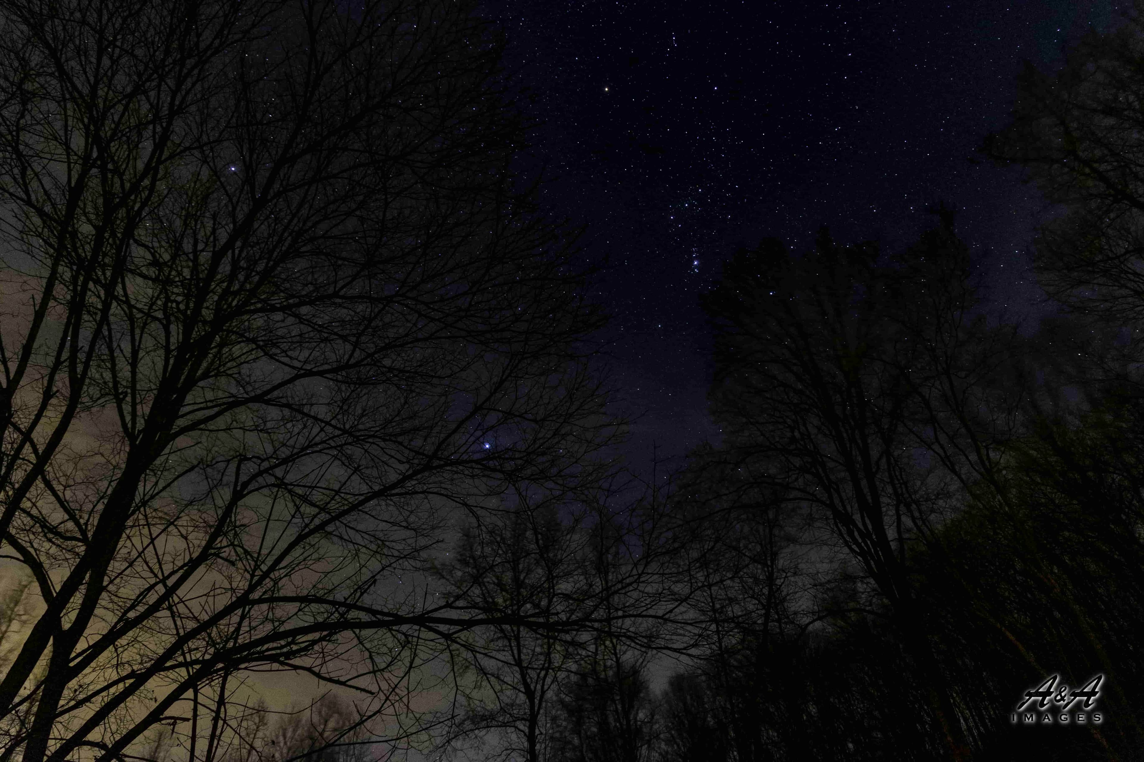 Distant Horizon — Alabama Landscape Fine Art Print | Archival Paper & Canvas Available