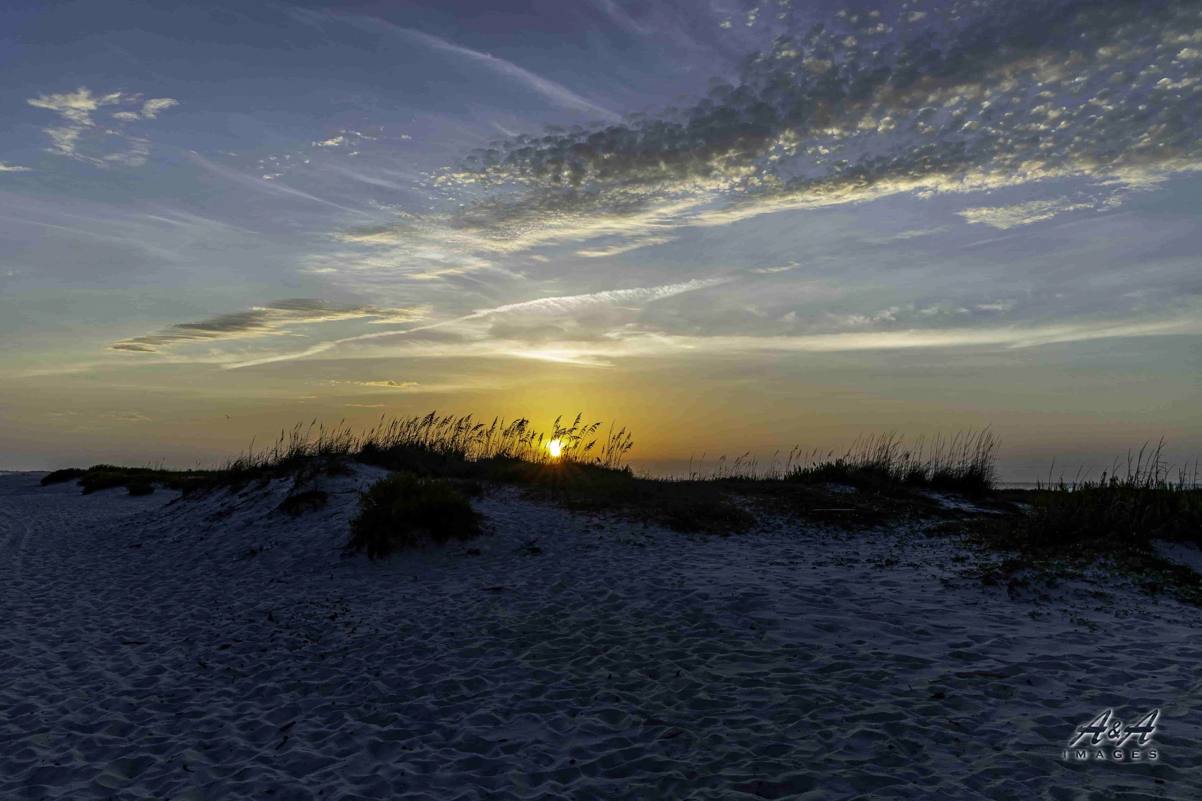 Valley View — Fine Art Photography Print | Alabama Landscape | Wall Art for Home
