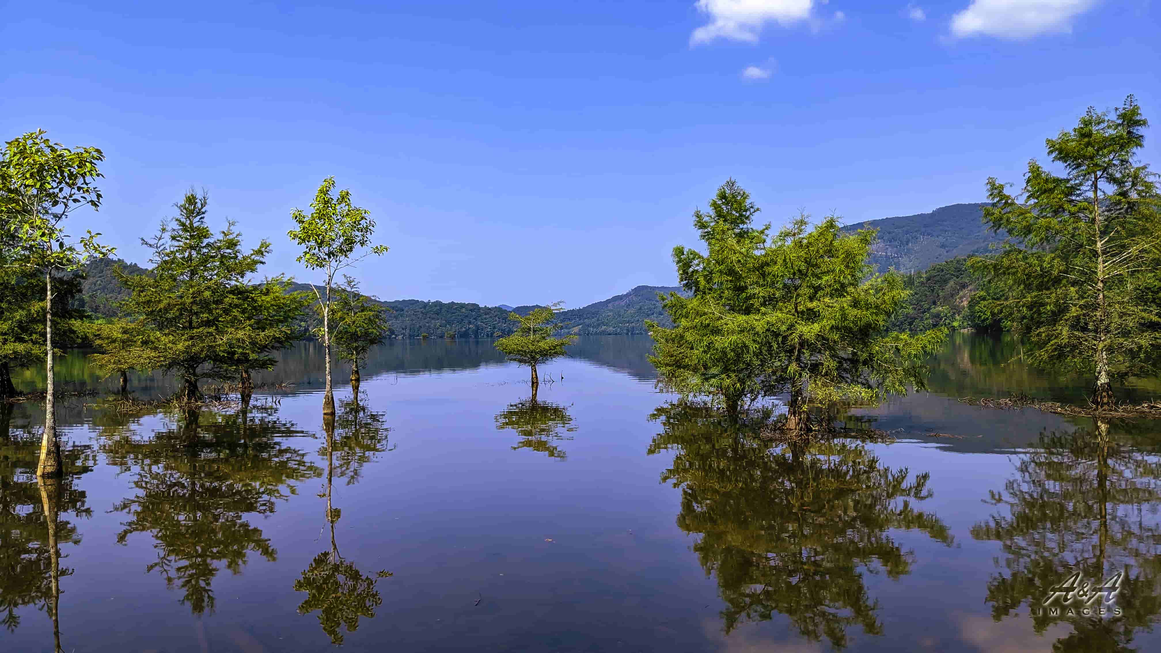 Serene Wilderness