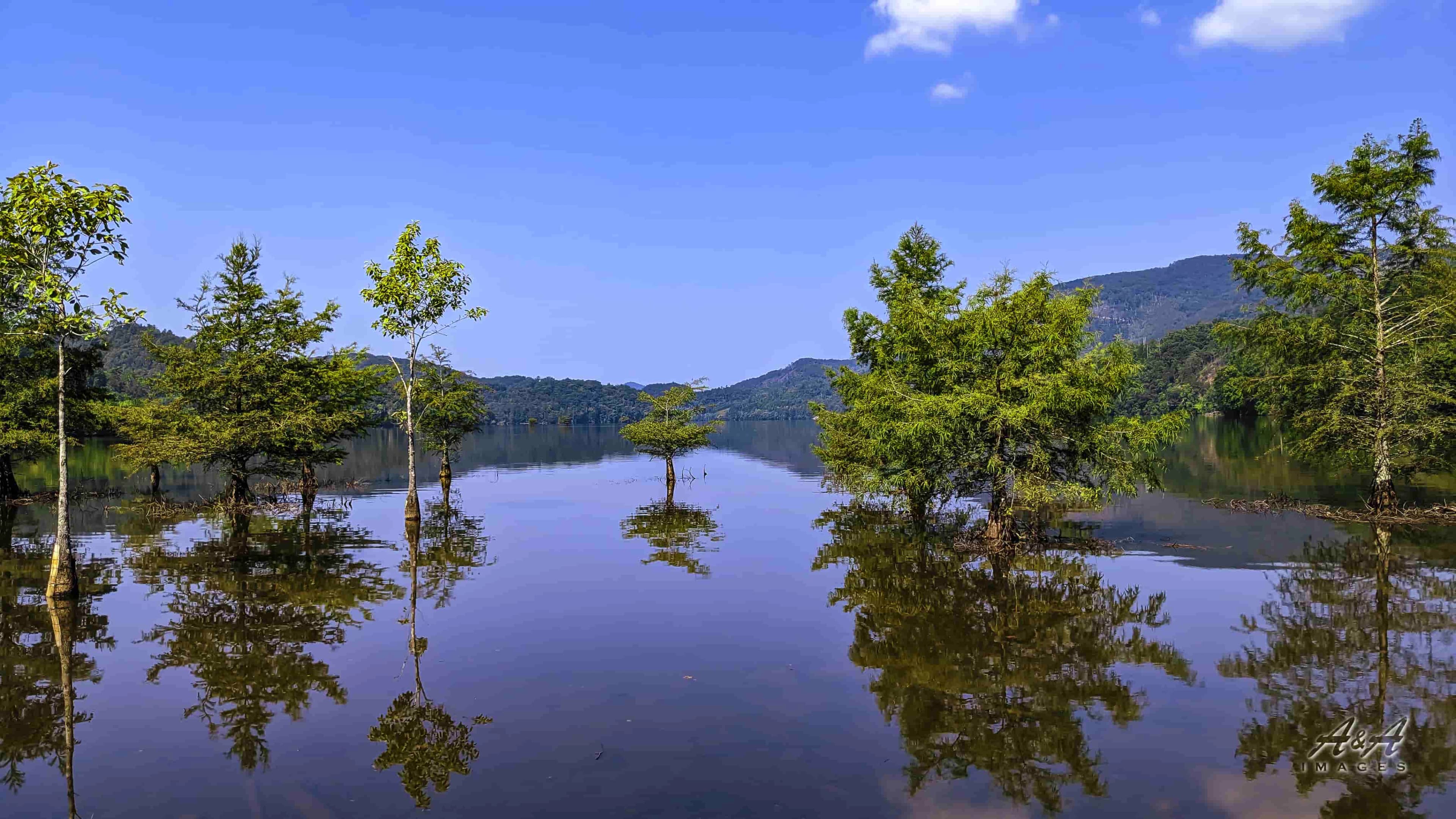 Serene Wilderness — Alabama Landscape Photography Print | Paper, Canvas & Metal